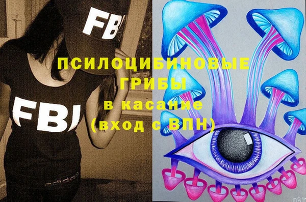 стаф Нея