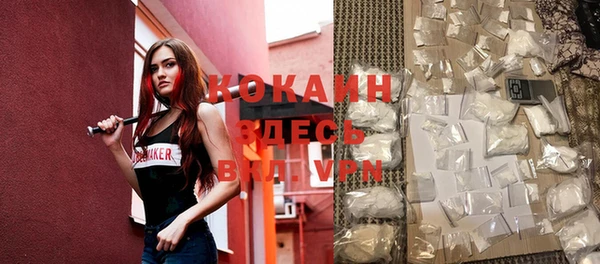 молекула духа Тотьма