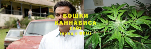 не бодяженный Новодвинск